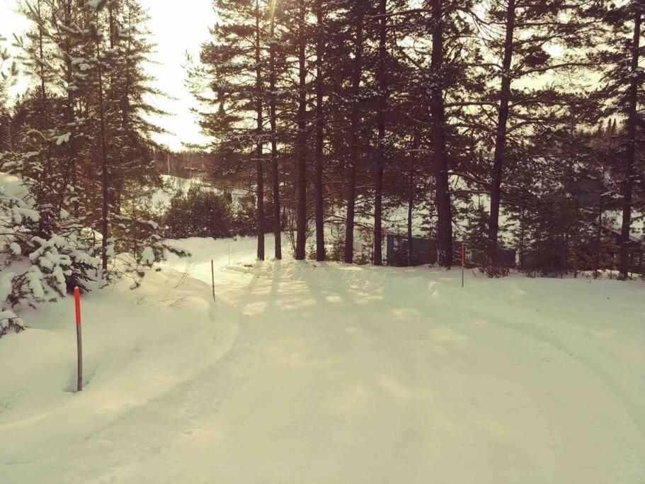 Le Chalet Bleu, Aux Pieds Des Monts-Valin Saint-David-de-Falardeau Exterior foto