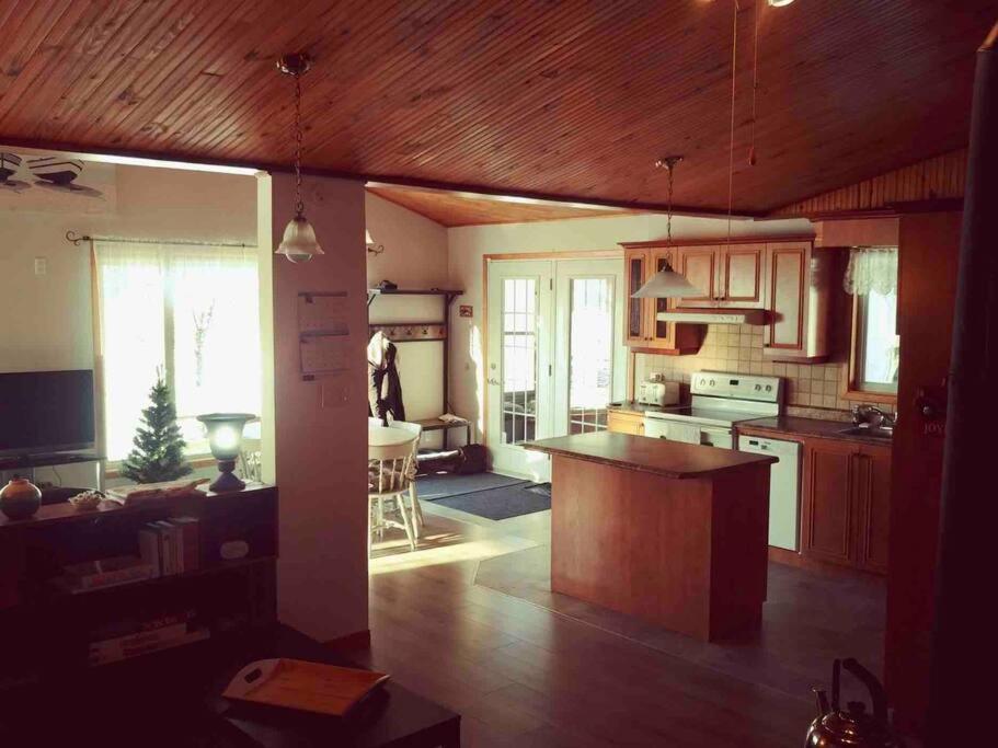 Le Chalet Bleu, Aux Pieds Des Monts-Valin Saint-David-de-Falardeau Exterior foto